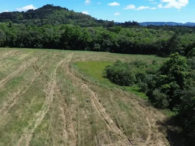 Imagem: Sítio / Chácara para Venda em Nova Petrópolis