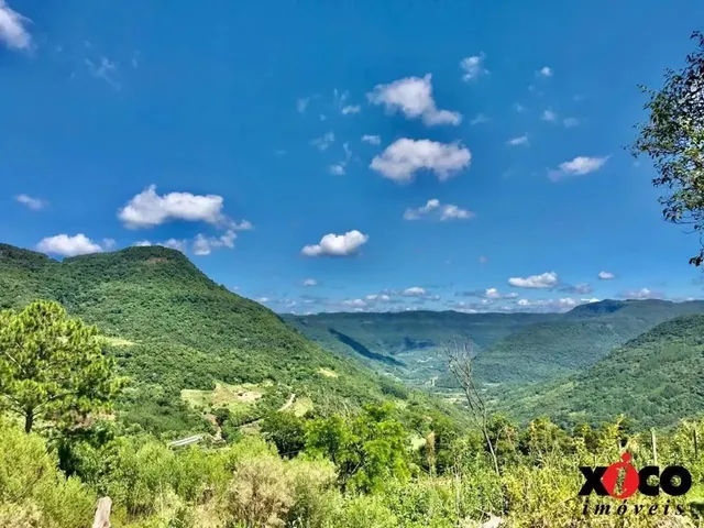 Imagem 1: Sítio / Chácara para Venda em Nova Petrópolis, Linha Pirajá Baixa