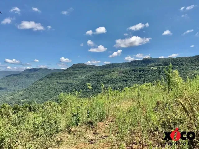 Imagem 11: Sítio / Chácara para Venda em Nova Petrópolis, Linha Pirajá Baixa