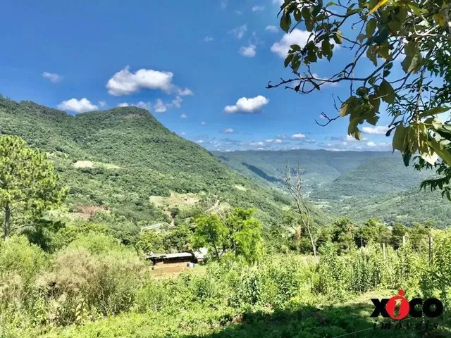 Imagem 3: Sítio / Chácara para Venda em Nova Petrópolis, Linha Pirajá Baixa