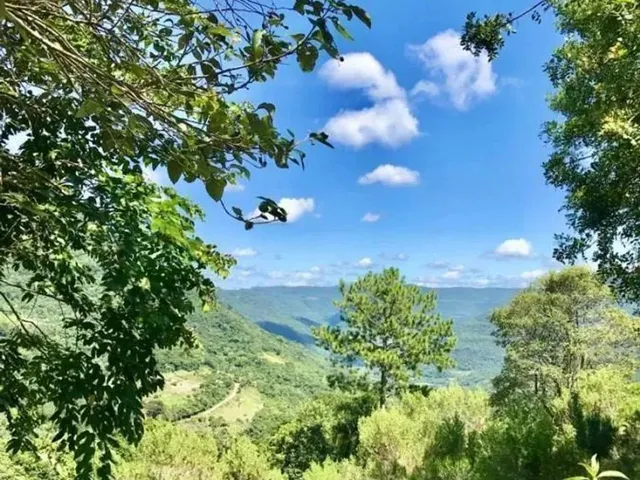 Imagem 10: Sítio / Chácara para Venda em Nova Petrópolis, Linha Pirajá Baixa