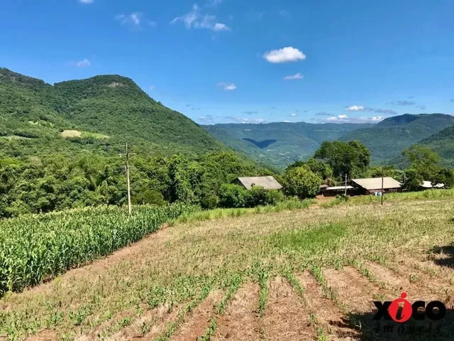 Imagem 9: Sítio / Chácara para Venda em Nova Petrópolis, Linha Pirajá Baixa