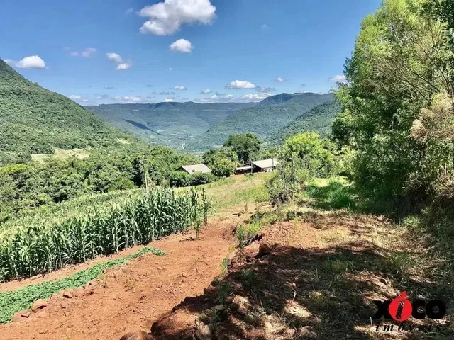 Imagem 13: Sítio / Chácara para Venda em Nova Petrópolis, Linha Pirajá Baixa
