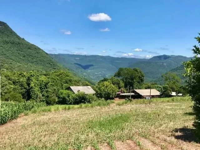 Imagem 6: Sítio / Chácara para Venda em Nova Petrópolis, Linha Pirajá Baixa