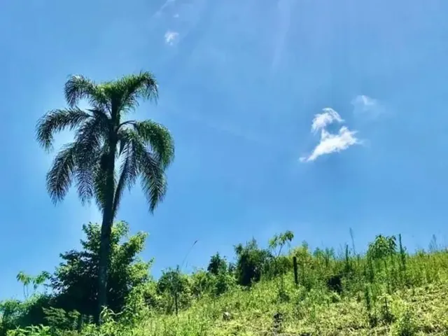 Imagem 12: Sítio / Chácara para Venda em Nova Petrópolis, Linha Pirajá Baixa