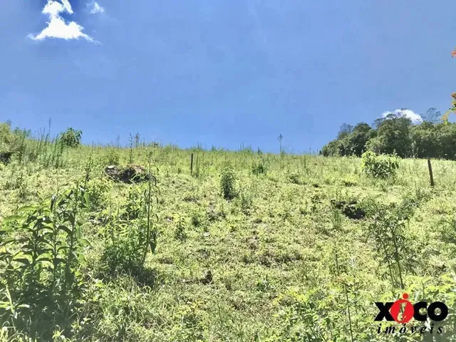 Imagem 15: Sítio / Chácara para Venda em Nova Petrópolis, Linha Pirajá Baixa