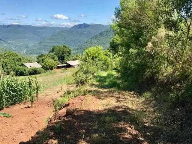 Imagem 8: Sítio / Chácara para Venda em Nova Petrópolis, Linha Pirajá Baixa