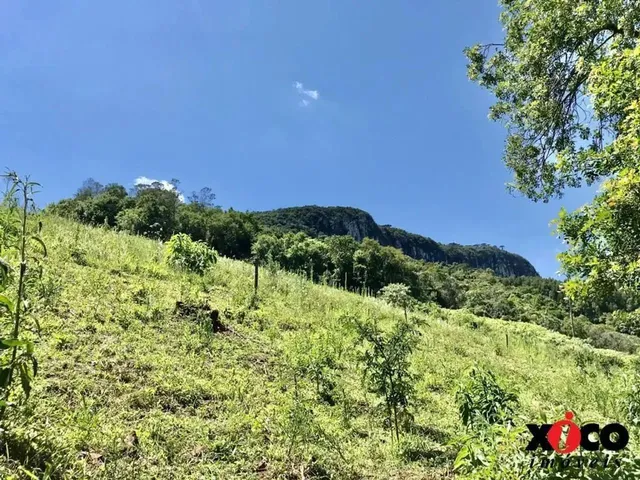Imagem 5: Sítio / Chácara para Venda em Nova Petrópolis, Linha Pirajá Baixa