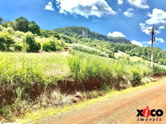 Imagem 2: Sítio / Chácara para Venda em Nova Petrópolis, Linha Pirajá Baixa
