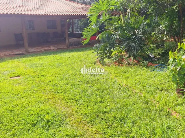 Imagem: Chácara Disponível para Venda no Bairro
