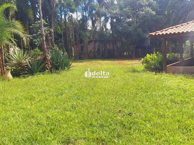 Imagem 11: Chácara Disponível para Venda no Bairro Chácaras Eldorado em Uberlândia-Mg