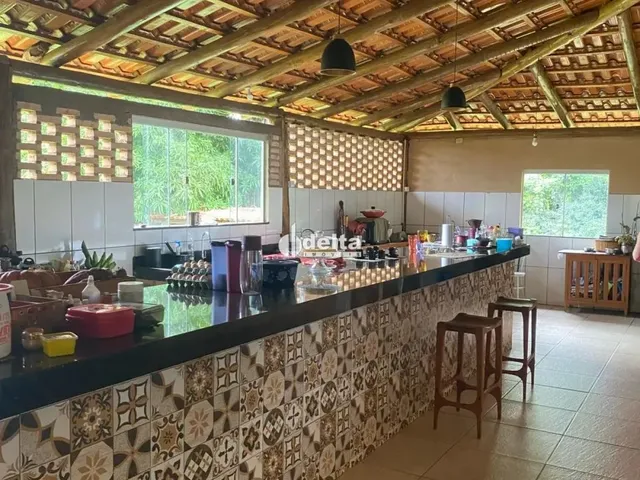 Imagem 10: Chácara Disponível para Venda no Bairro Chácaras Eldorado em Uberlândia-Mg