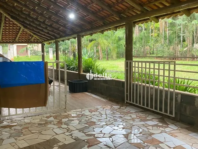 Imagem 5: Chácara Disponível para Venda no Bairro Chácaras Eldorado em Uberlândia-Mg