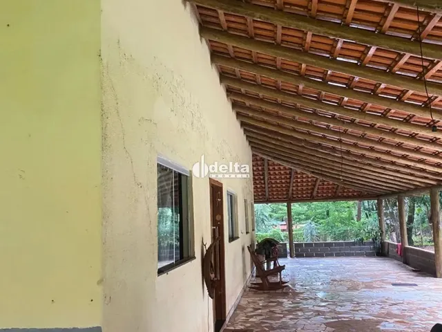 Imagem 15: Chácara Disponível para Venda no Bairro Chácaras Eldorado em Uberlândia-Mg