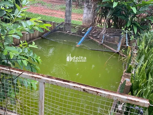 Imagem 7: Chácara Disponível para Venda no Bairro Chácaras Eldorado em Uberlândia-Mg