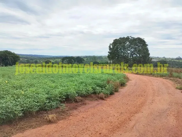 Imagem: Fazenda 20,0 Alqueires em Soja, Ribeirão