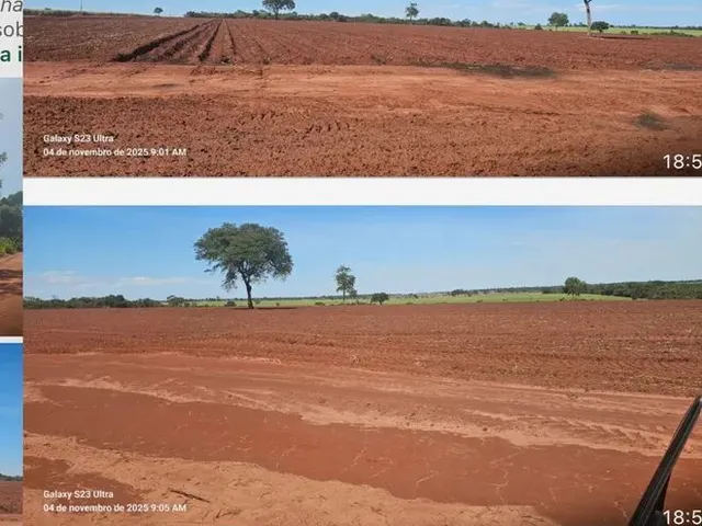Imagem: Fazenda de Cana
