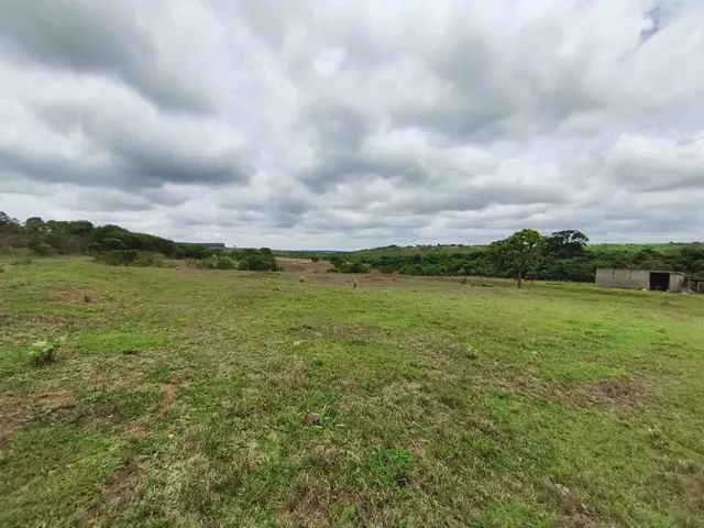 Imagem: Fazenda com Cana Próximo Uberlândia
