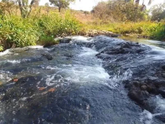 Imagem 4: Fazenda com Cana Próximo Uberlândia