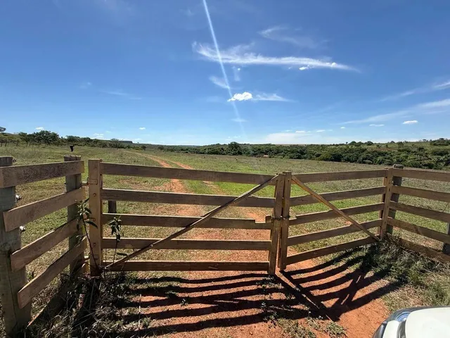 Imagem 5: Fazenda com Cana Próximo Uberlândia