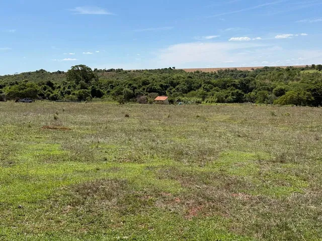 Imagem 6: Fazenda com Cana Próximo Uberlândia