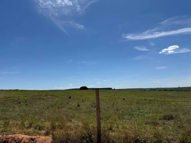 Imagem 7: Fazenda com Cana Próximo Uberlândia