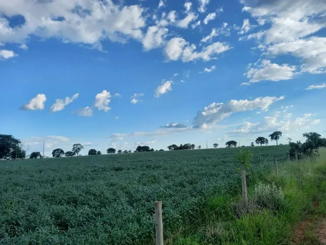 Imagem: Sítio na Região de Prata Minas Gerais