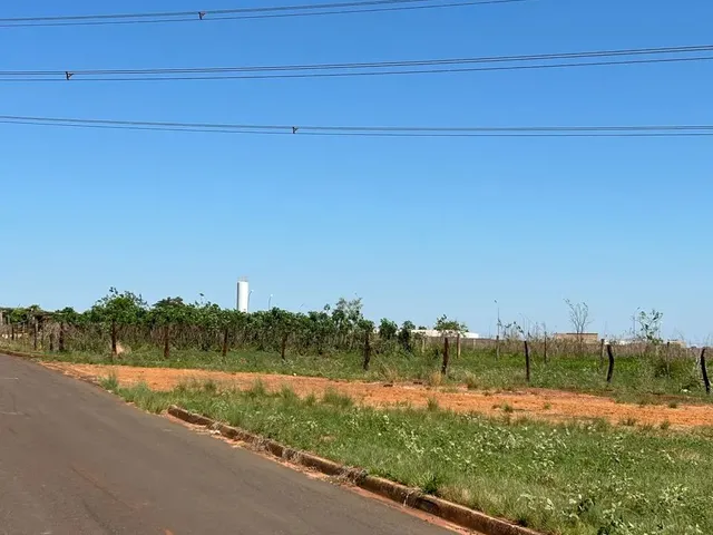 Imagem: Cinco Terrenos de Investimento (Venda Ou