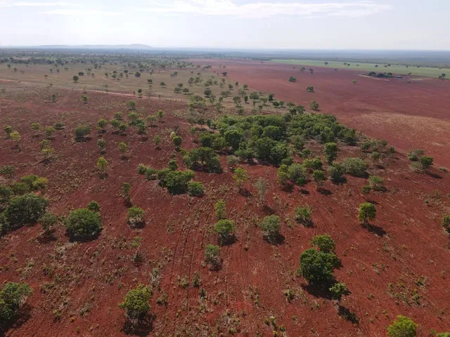 Imagem: Vendo 288, Hectares de Terras Próprias
