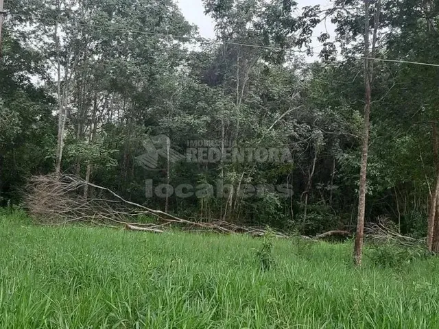 Imagem 8: Sitio em Ituiutaba Rio da Prata/Salto
