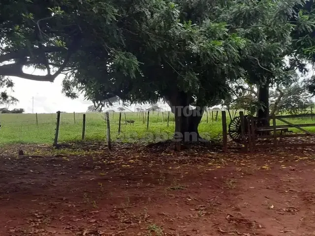 Imagem 15: Sitio em Ituiutaba Rio da Prata/Salto
