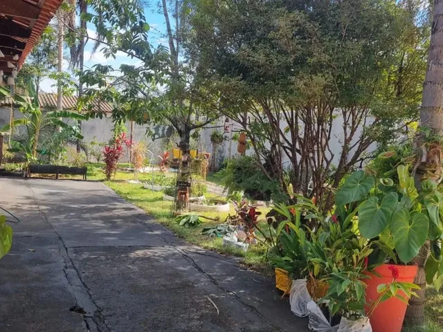 Imagem 9: Chácara Morada Nova 2000 Metros