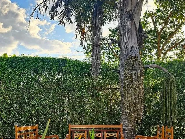 Imagem 10: Réveillon Exclusivo no Park Way