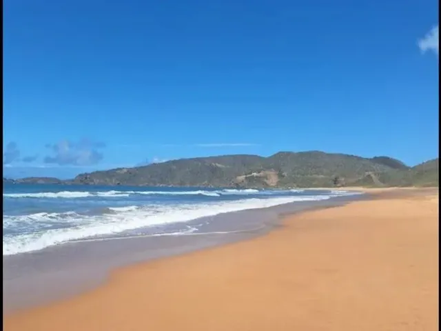 Imagem 7: Disponível Réveillon e Carnaval