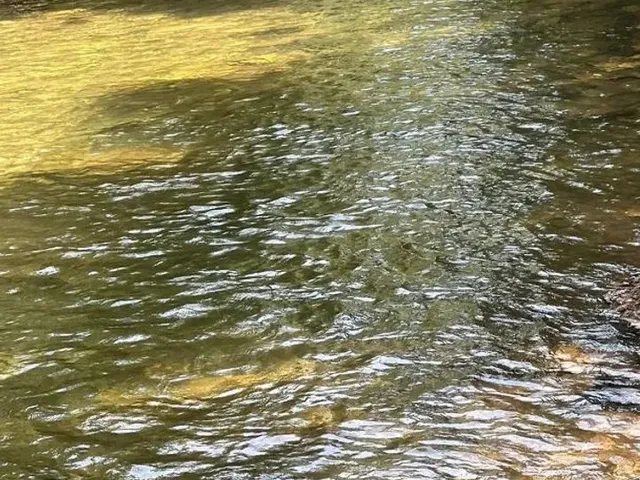 Imagem 5: Chácara Chapada