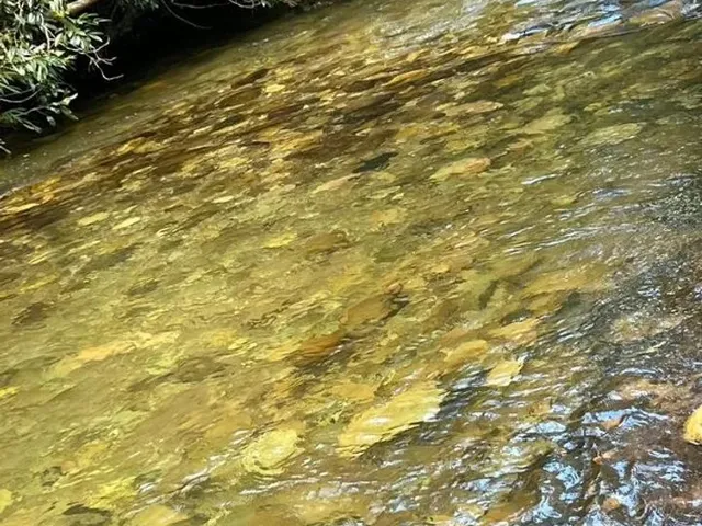 Imagem 6: Chácara Chapada