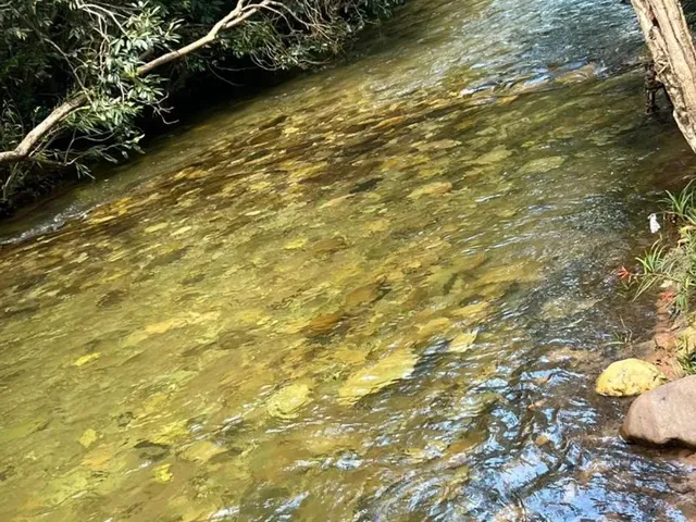 Imagem 15: Chácara Chapada