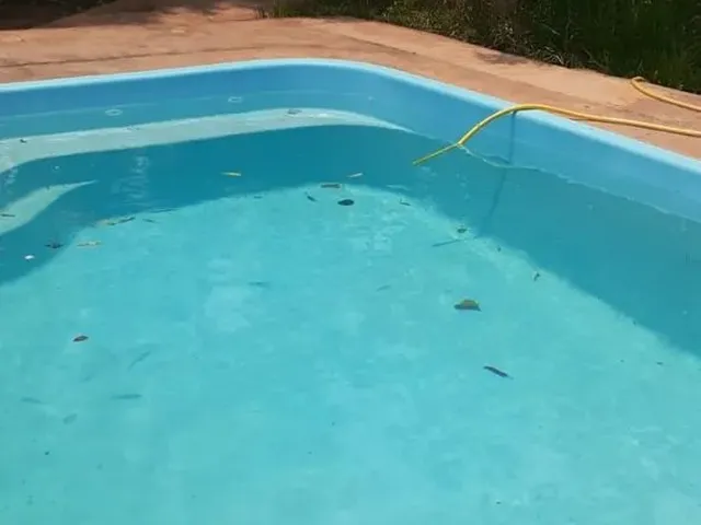 Imagem 2: Aluguel Chácara -Promoção- R$ 300,00 Ao Dia