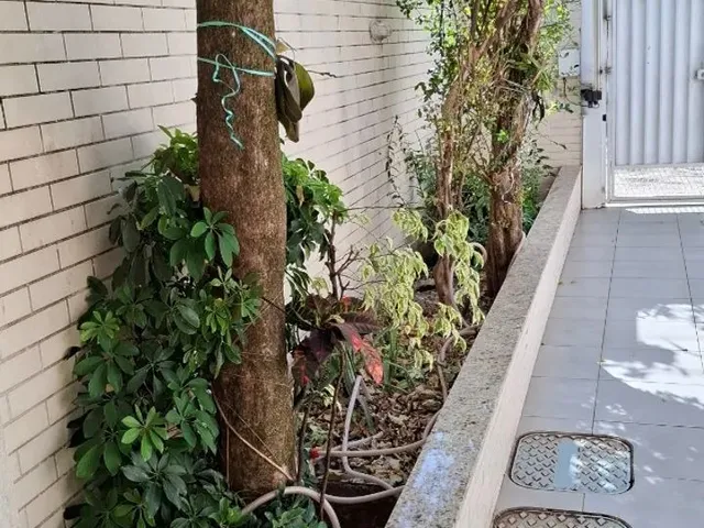 Imagem 2: Excelente Oportunidade na Avenida Central, Núcleo Bandeirante, Localização Privilegiada