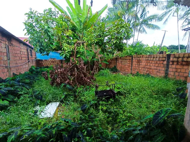 Imagem: /Casa com Quintal Espaçoso no Jorge Teixeira