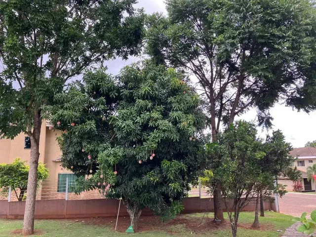 Imagem 14: Casa para Venda no Residencial Palmares com 05 Quartos em Park Way - Df