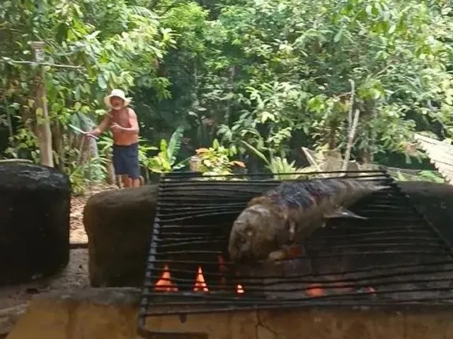 Imagem 3: Vendo Sítio 20 Minutos de Manaus