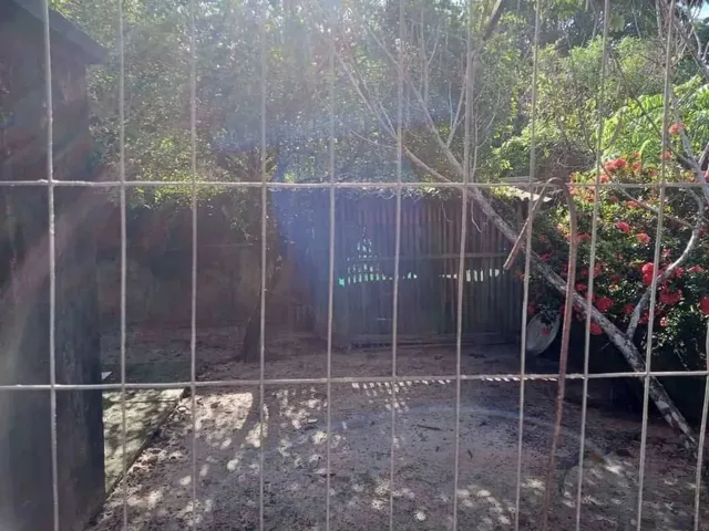 Imagem 15: Casarão no Paraiso Mosqueiro