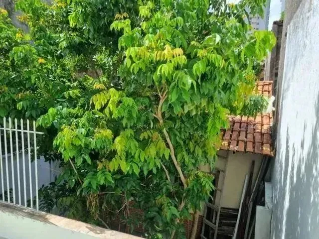 Imagem 14: Vendo Casa na Pedreira, 200M², 4 Suítes, 2 Vagas