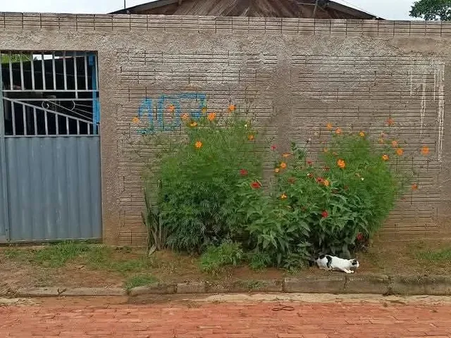 Imagem: Vendo Casa no Curió, na Pass. Classe A