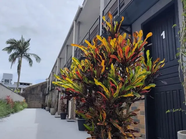 Imagem 6: Kitnet Aconchegante São Vicente