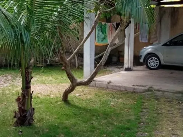 Imagem 10: Nova Viçosa - Ba 07 a 13 de Janeiro