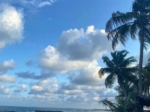 Imagem 10: Temporada Tabatinga - Casa de Praia