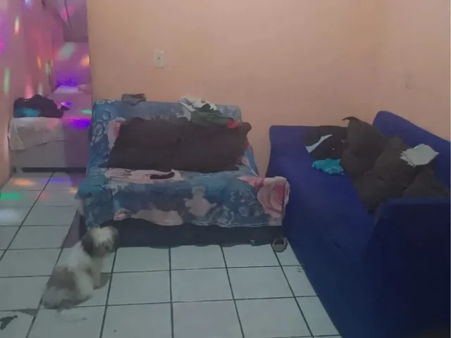 Imagem 9: Casa em Parque das Gaivotas Nova Almeida