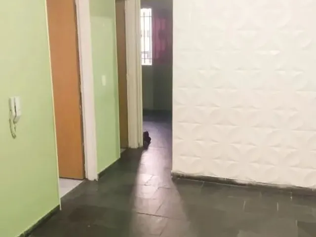 Imagem 3: Apartamento 02 Quartos a Venda I Bairro Arpoador